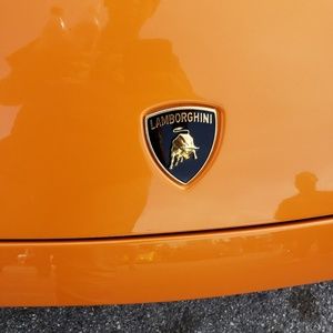 Meet your Posher, Syed